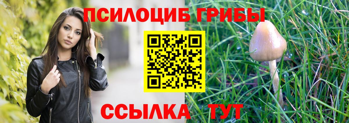 Псилоцибиновые грибы Psilocybe  Вход с VPN  Когалым 
